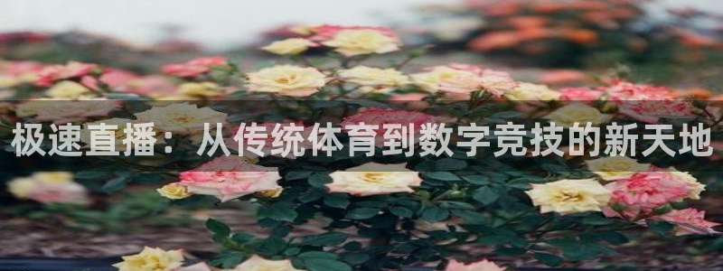 蓝鲸直播ios：极速直播：从传统体育到数字竞技的新天地