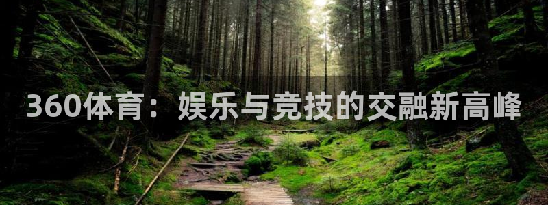 蓝鲸体育app官网版：360体育：娱乐与竞技的交融新高峰