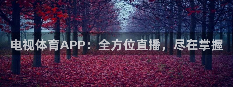 蓝鲸新闻：电视体育APP：全方位直播，尽在掌握